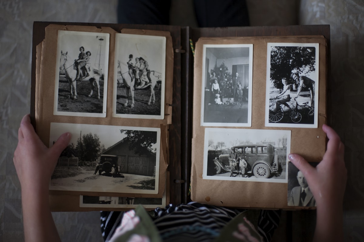 A historic photo album from the collection